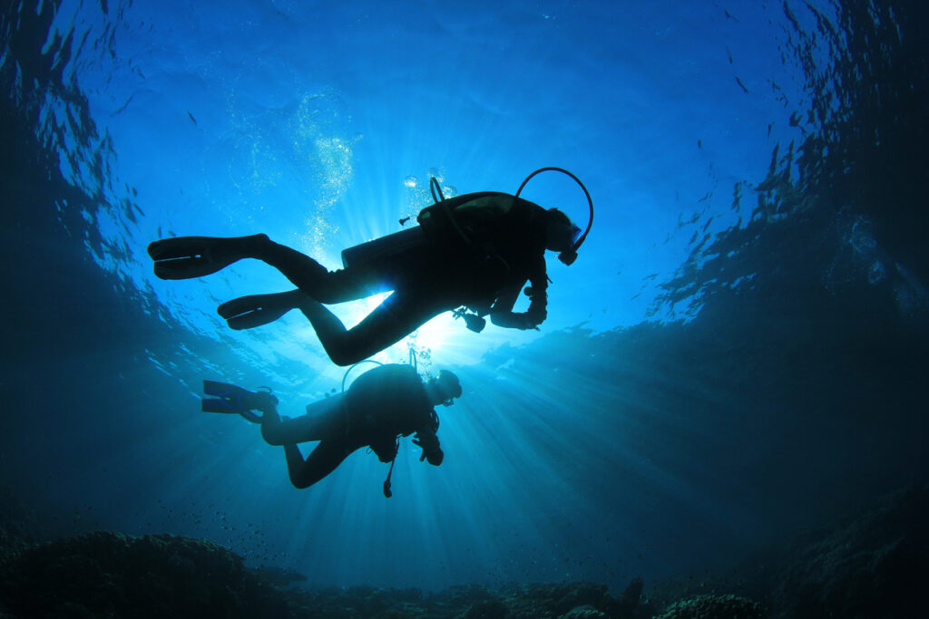 Two scuba divers just below the surface