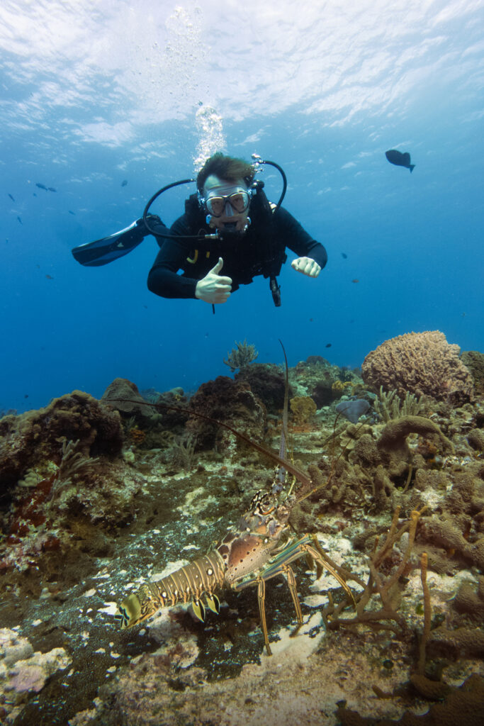 Diver practicing safety symbols in the ocean